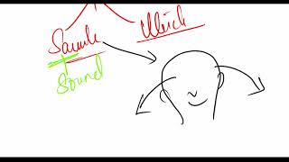 Otolith  Utricle  saccule and maculae  Physiology of balance  equilibrium and Ear [upl. by Ycrem]