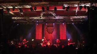 DRESCHER Live  Rock Me Amadeus Masp 2016 [upl. by Anele]