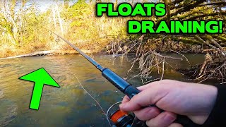 BOBBER Downs SMALL STREAM Steelhead Fishing MADNESS [upl. by Frankhouse]