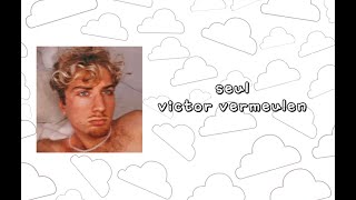 Victor Vermeulen seul  lyrics vidéo [upl. by Aisela]