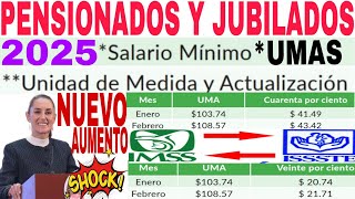 💥IMSS ISSSTE PENSIONADOS Y JUBILADOS LEY 73 LEY 97 TRANSITO E INDIVIDUALES NUEVA PENSIÓN 2025💥 [upl. by Gussy216]