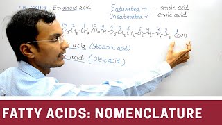 Nomenclature of Fatty acid [upl. by Talie279]