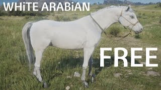 Red Dead Redemption 2 How To Find amp Catch White Arabian Horse Walkthrough Guide Lake Isabella [upl. by Weinstock103]