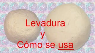 Qué es la Levadura y Cómo se Usa│Club de Reposteria [upl. by Emia]