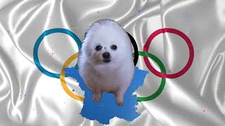 Olympics Doggo song for Paris olympics [upl. by Akemeuwkuhc]