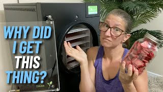 The Most Honest Freeze Dryer Review [upl. by Obla847]