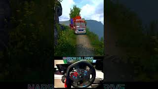 Narrow Hill Drive shorts short youtubeshorts gameplay ets2 logitechg29 Euro Truck Simulator 2 [upl. by Akcirderf]