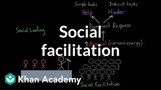 Social facilitation and social loafing  Behavior  MCAT  Khan Academy [upl. by Notac]