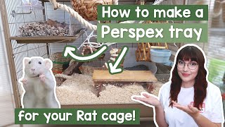 How to make a DIY perspex tray for your Rat cage [upl. by Lejna]