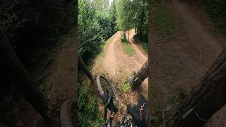 Bike Park Kasina 2024  jumpline na Dzikiej 🤘 mtb [upl. by Sandell]