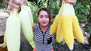 Yummy Corn Stir Fry Dried Shrimp  Cooking Skill [upl. by Anomis868]