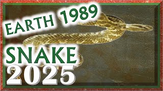 Snake Horoscope 2025  Earth Snake 1989  February 6 1989 to January 26 1990 [upl. by Bibah860]