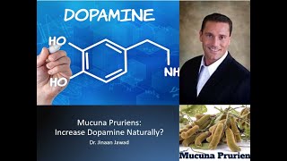 Mucuna Pruriens Does It Increase Dopamine Naturally [upl. by Atinel]