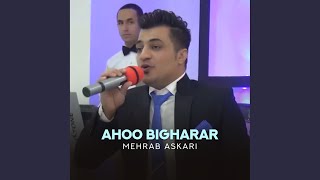 Ahoo Bigharar [upl. by Enaed824]