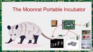 Inventors Gathering Moonrat Portable Incubator Presentation [upl. by Merideth568]