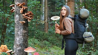 Solo trip with Canvas Hot tent in the mushroom woods  Wild camping cooking bushcraft skills ASMR [upl. by Fugazy428]