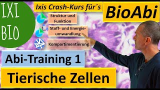 Tierische Zellen  Anwendungsaufgaben zur Abivorbereitung AbiTraining 1 Bau der tierischen Zelle [upl. by Aggappora]