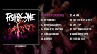 Fishbone  Live In Bordeaux Full Album [upl. by Biddy]