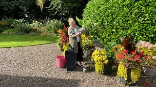 Planting Autumn containers  Refreshing house entrance for Autumn  Hot Border tour [upl. by Dorella]