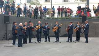 RONDALLA MAGISTERIAL  quotEl penúltimo besoquot  Festival Festejando a Mamá 10 de mayo [upl. by Andee]