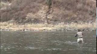 Steelhead Fly fishing the Grande Ronde river in Washington [upl. by Claudianus834]