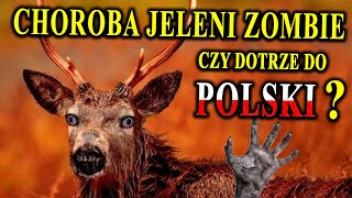 Inwazja Jeleni Zombie  Są Już w Europie  Czy Pojawią się w Polsce [upl. by Nnaitsirhc]