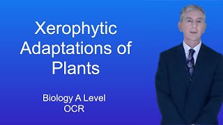 A Level Biology Revision quotXerophytic Adaptations of Plantsquot [upl. by Eednas]