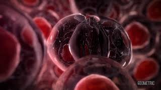 Tumor Cell Signalling medical animation by Geometric Medical [upl. by Ennayk454]