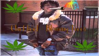 Chief keef  Blowing trees 2011 RARE [upl. by Moraj]