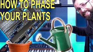 Everyone was right about Phase Plant [upl. by Barstow892]