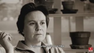 Harper Lee e Il buio oltre la siepe  fino a Va metti una sentinella  Trailer ita [upl. by Richarda]