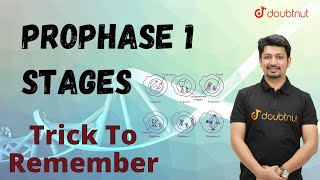 Trick To Remember Prophase 1 Stages  Biology  oneminuterevision  short youtubeshorts [upl. by Eahsram108]