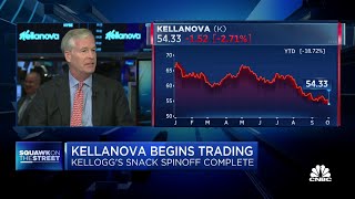 Kellanova CEO Steve Cahillane on spinoff We still have tremendous scale [upl. by Jaddo344]