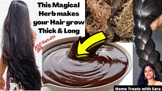 Magical Hair Growth Pack  How to Grow Long and Thick Hair Naturally amp Faster  Herbal Hair pack🌿 [upl. by Harold]