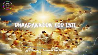 Dhaadannoon koo isii  Ftaa Dn Lammii Tarfaasaa [upl. by Annoiek]