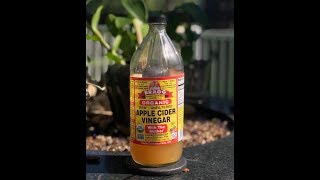 Braggs Apple Cider Vinegar and Turmeric Elixir [upl. by Ayekan]