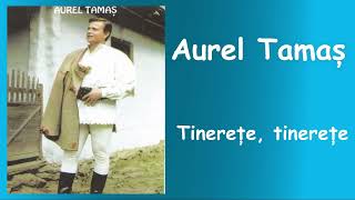 Aurel Tamas  Tinerete tinerete [upl. by Yarb]