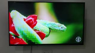 Smart TV  SETMAX by Malhotra Group  Rs 12000 [upl. by Dich]