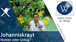 Johanniskraut vs Antidepressiva Pflanzliches Wundermittel bei Depression und wie harmlos wirklich [upl. by Silverman]