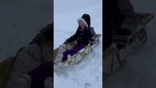 Snow Sledding Alaska [upl. by Mandy126]