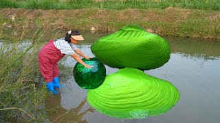 From Mud to Millions Girls Innocent Quest Leads to Colossal Mutated Clam Yielding Precious Pearls [upl. by Dranyar]