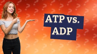 What is the difference between ATP and ADP [upl. by Enilarak]