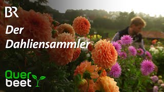 Dahliensammler aus der Rhön [upl. by Morly]