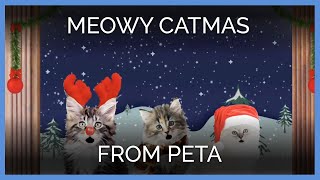 Meowy Catmas From PETA [upl. by Kaete]