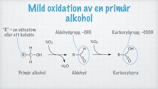 Oxidation av alkoholer [upl. by Leugim]