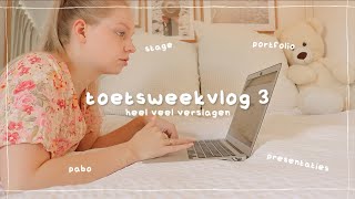 heel veel verslagen schrijven  toetsweekvlog 3 [upl. by Nuhsed]