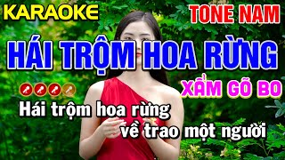 ✔HÁI TRỘM HOA RỪNG Karaoke Nhạc Tone Nam  Em  Tình Trần Organ [upl. by Corella]