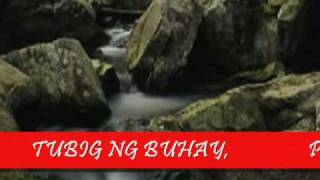 TUBIG NG BUHAY [upl. by Xirdnek159]