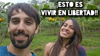 ¿Cómo Podemos Vivir Sin TRABAJAR 🤔Respondíendo sus dudas [upl. by Rhoda]