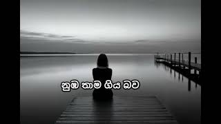 නුඹ තාම ගිය බව  numba thama giya bawa   solow  revibe [upl. by Buehler899]